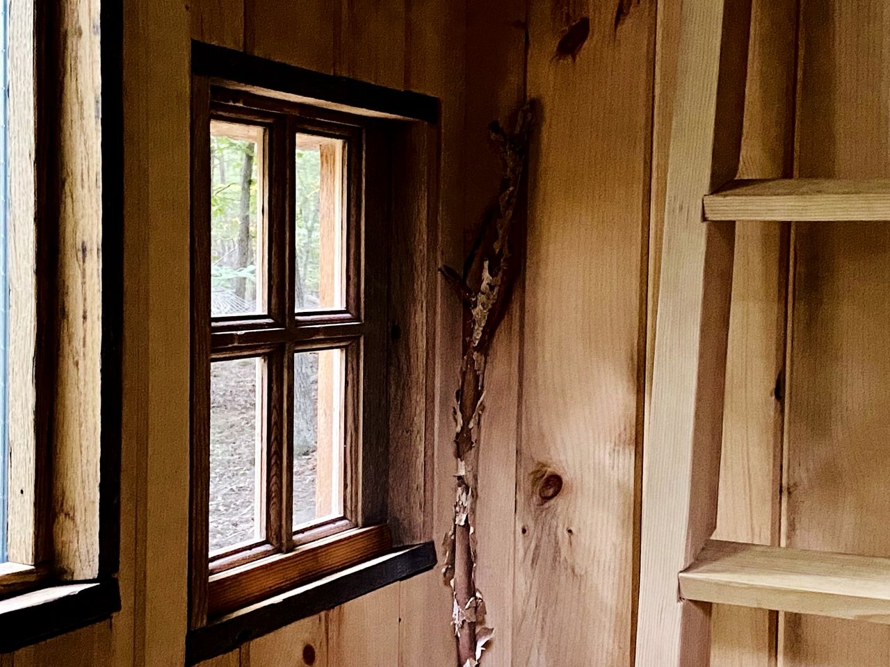 Cozy Ground Floor Suite in a Beautiful Farmhouse for a Unique Getaway in Afton, Virginia