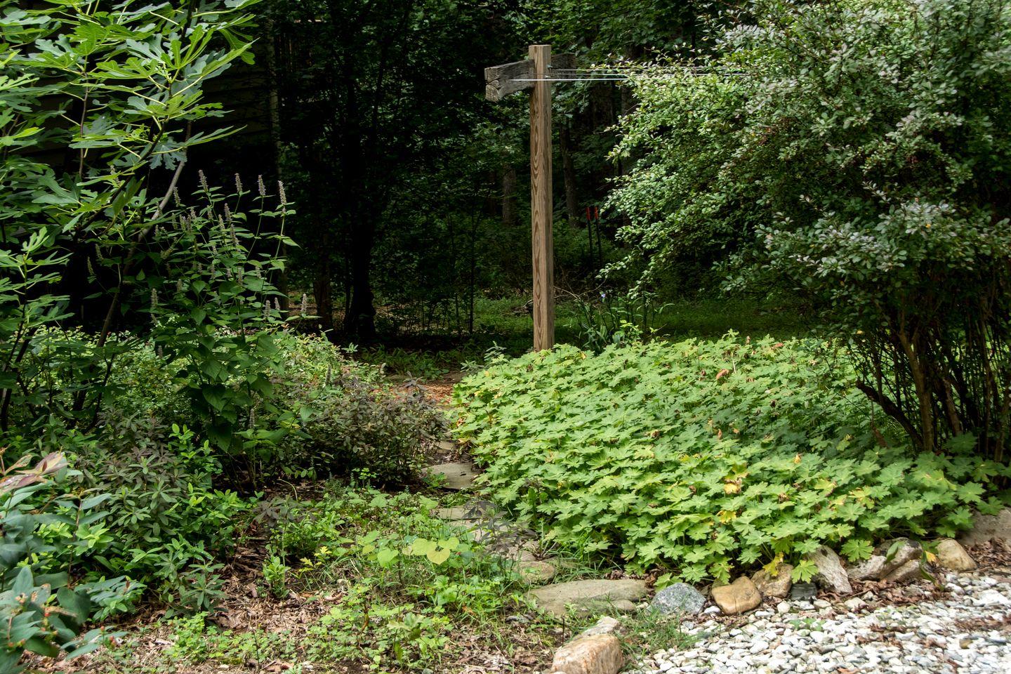Cozy Ground Floor Suite in a Beautiful Farmhouse for a Unique Getaway in Afton, Virginia