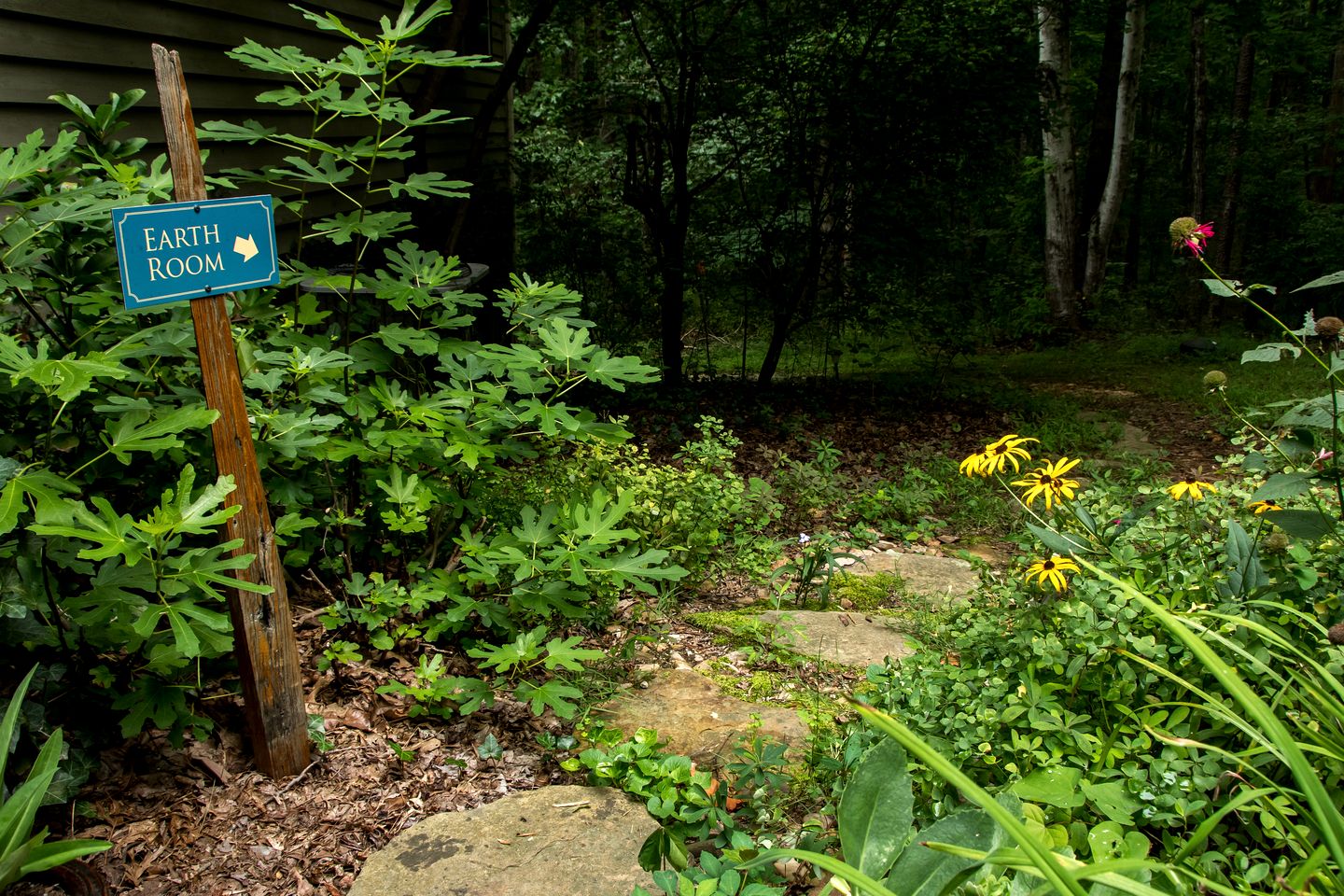 Cozy Ground Floor Suite in a Beautiful Farmhouse for a Unique Getaway in Afton, Virginia