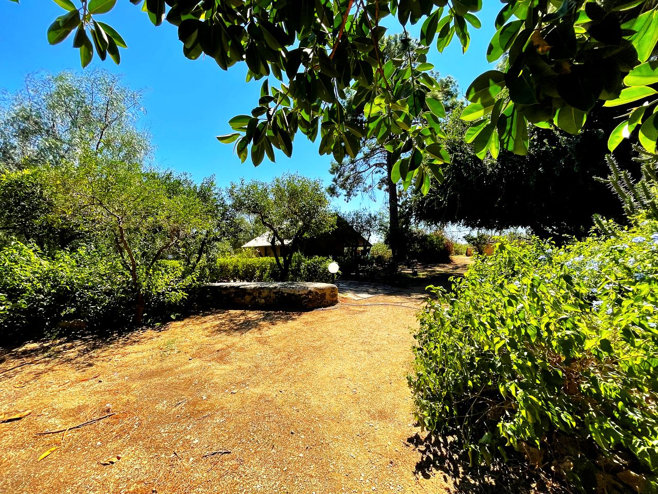 Luxurious Safari Tent on an Incredible Farmhouse Property for a Relaxing Glamping Getaway in Trapani, Italy