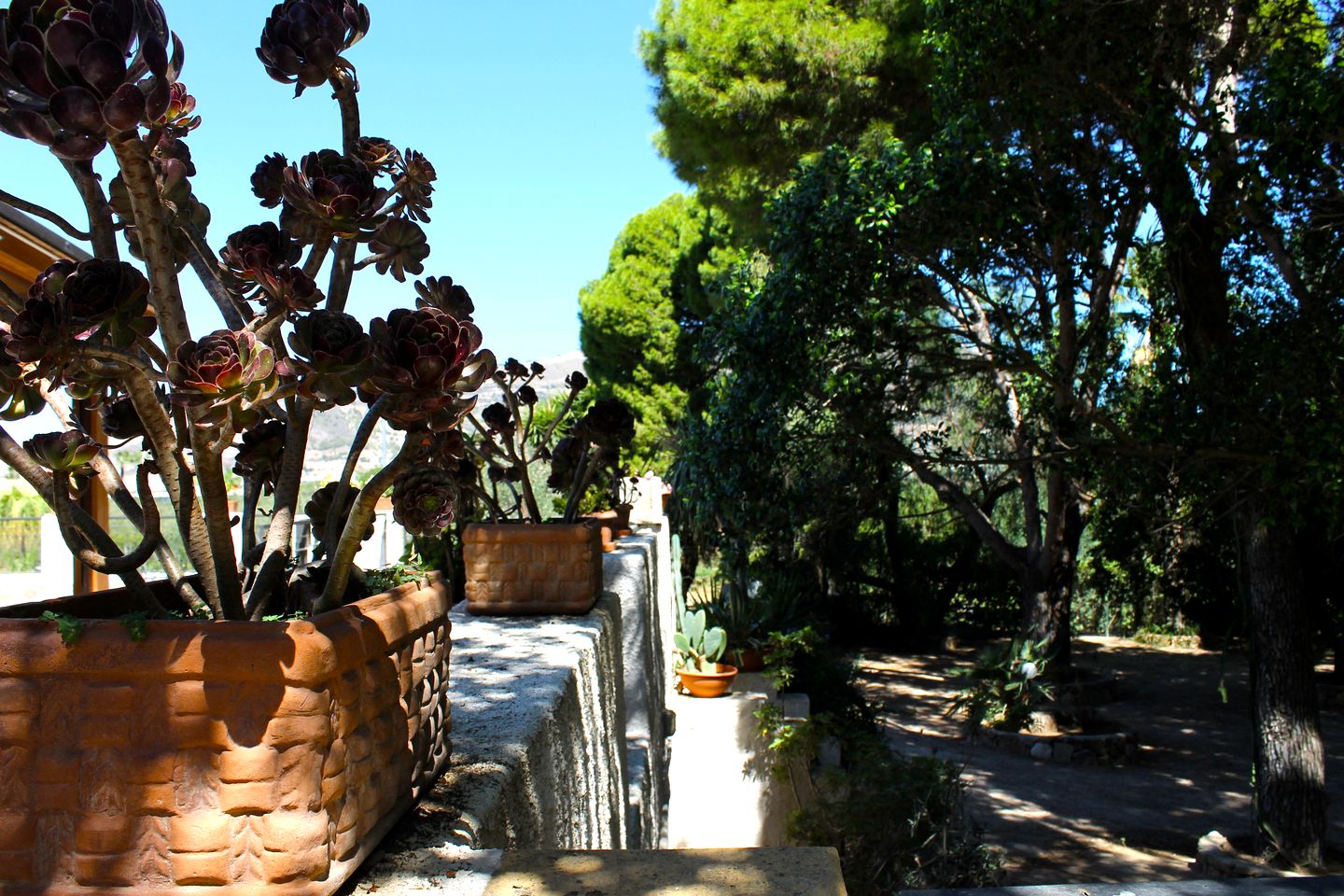 Luxurious Safari Tent on an Incredible Farmhouse Property for a Relaxing Glamping Getaway in Trapani, Italy