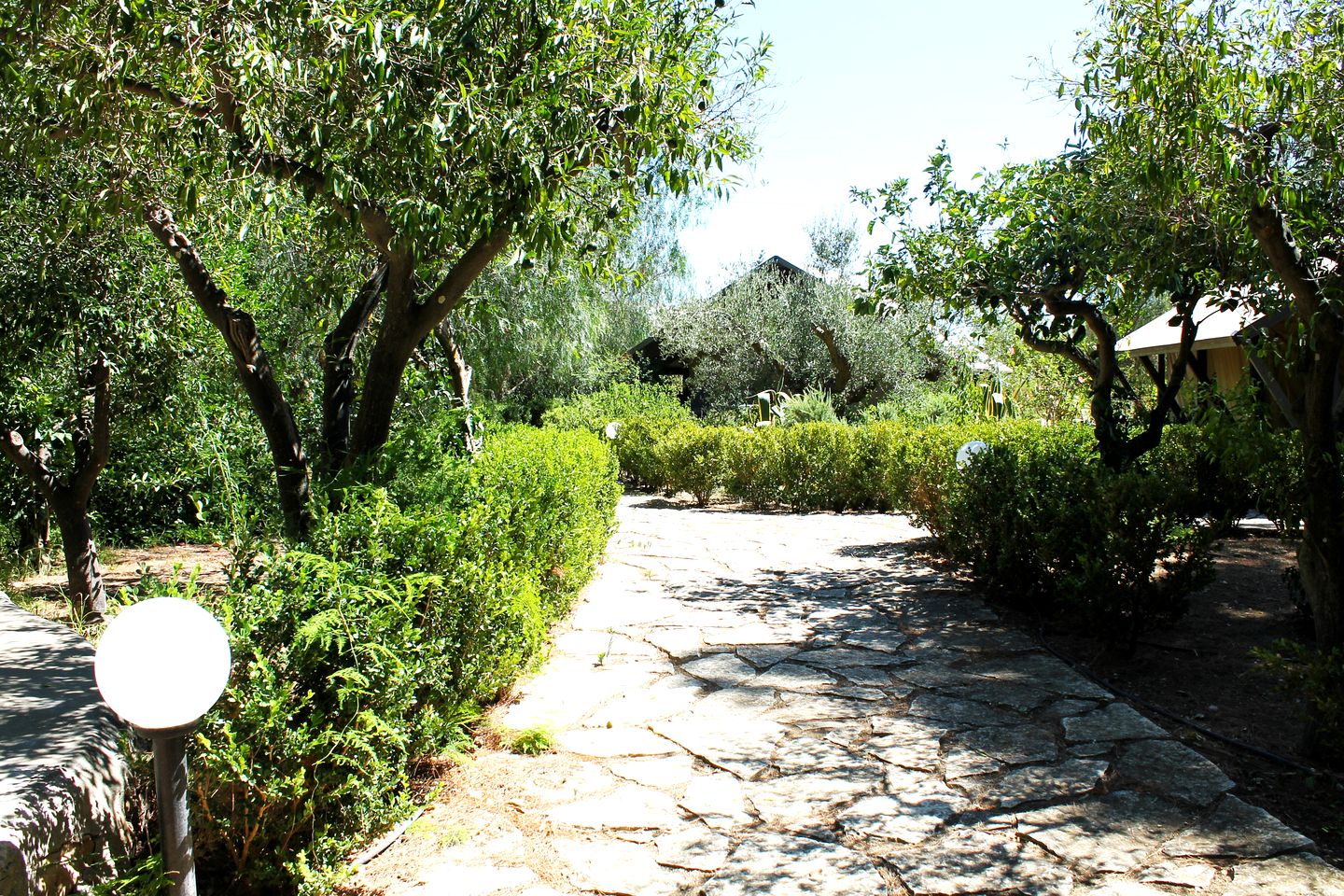 Luxurious Safari Tent on an Incredible Farmhouse Property for a Relaxing Glamping Getaway in Trapani, Italy