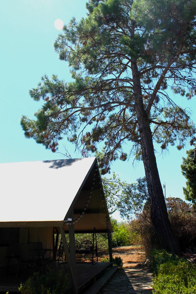 Luxurious Safari Tent on an Incredible Farmhouse Property for a Relaxing Glamping Getaway in Trapani, Italy