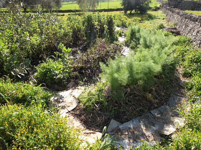 Tiny Houses (Italy, --, --)