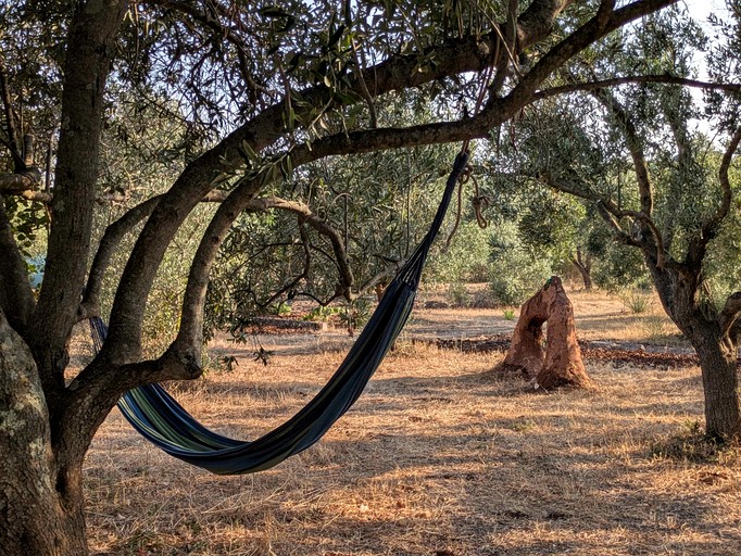 Tiny Houses (Italy, --, --)