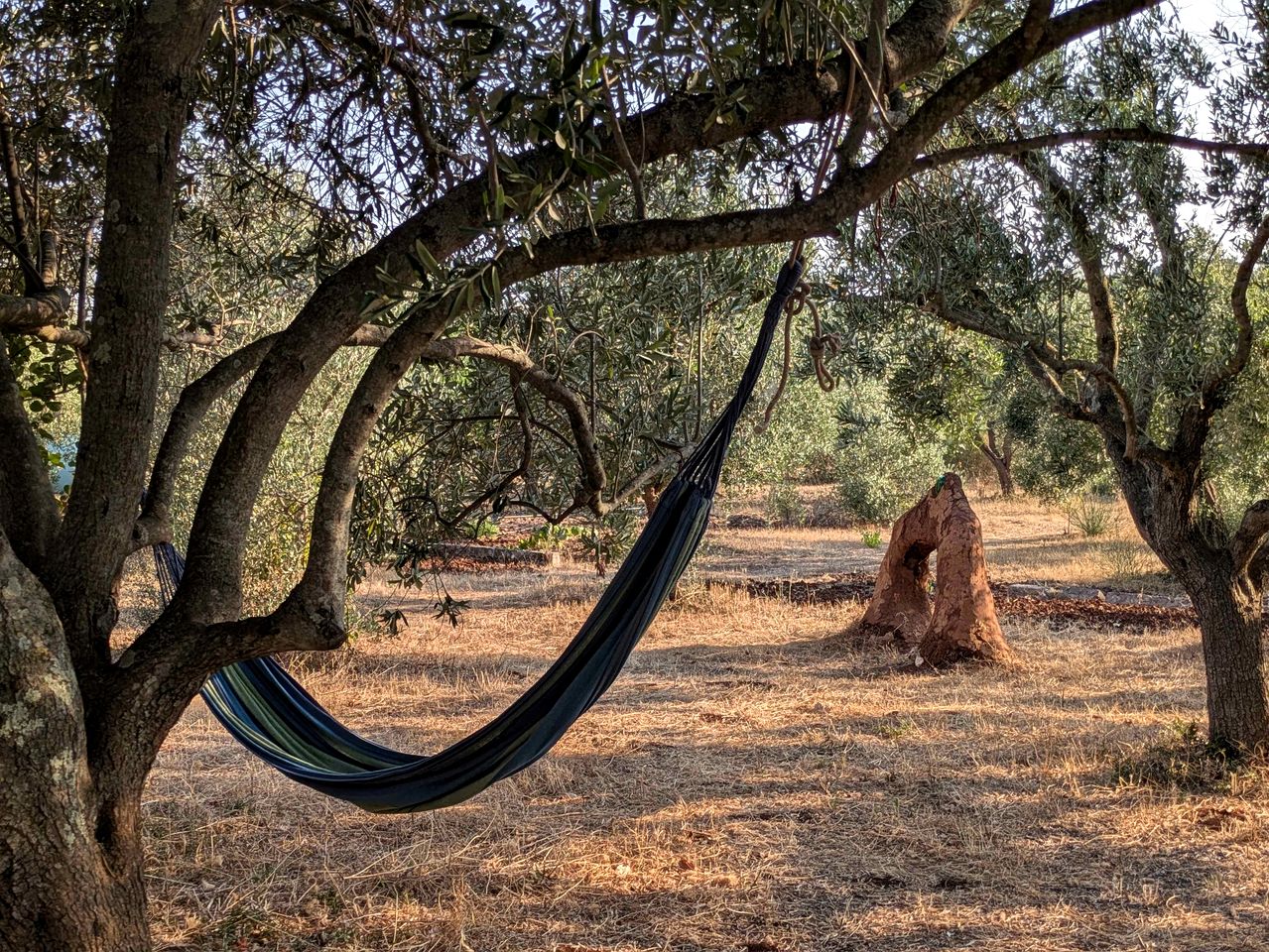 Quaint Tiny House for an Off-Grid Glamping Getaway Surrounded by Nature near Ostuni, Italy