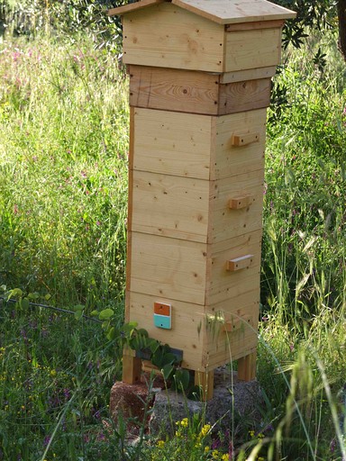 Tiny Houses (Italy, --, --)