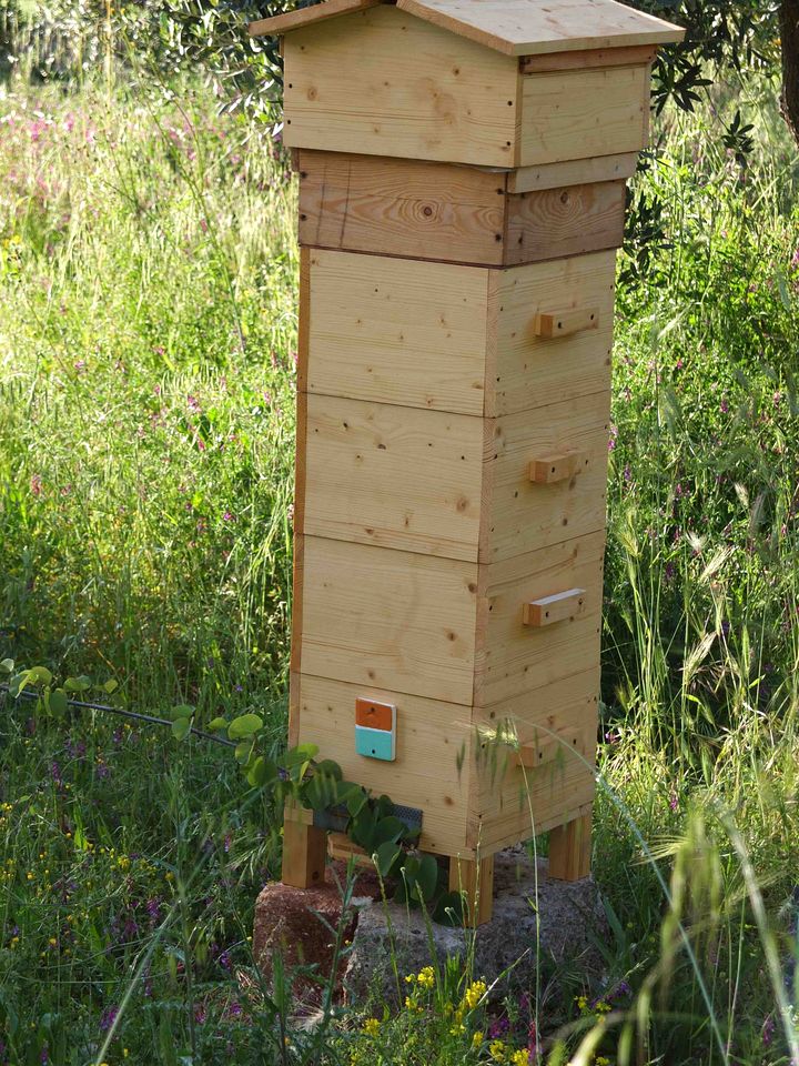 Quaint Tiny House for an Off-Grid Glamping Getaway Surrounded by Nature near Ostuni, Italy