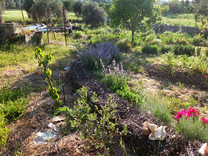 Tiny Houses (Italy, --, --)