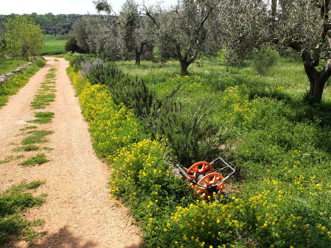 Quaint Tiny House for an Off-Grid Glamping Getaway Surrounded by Nature near Ostuni, Italy