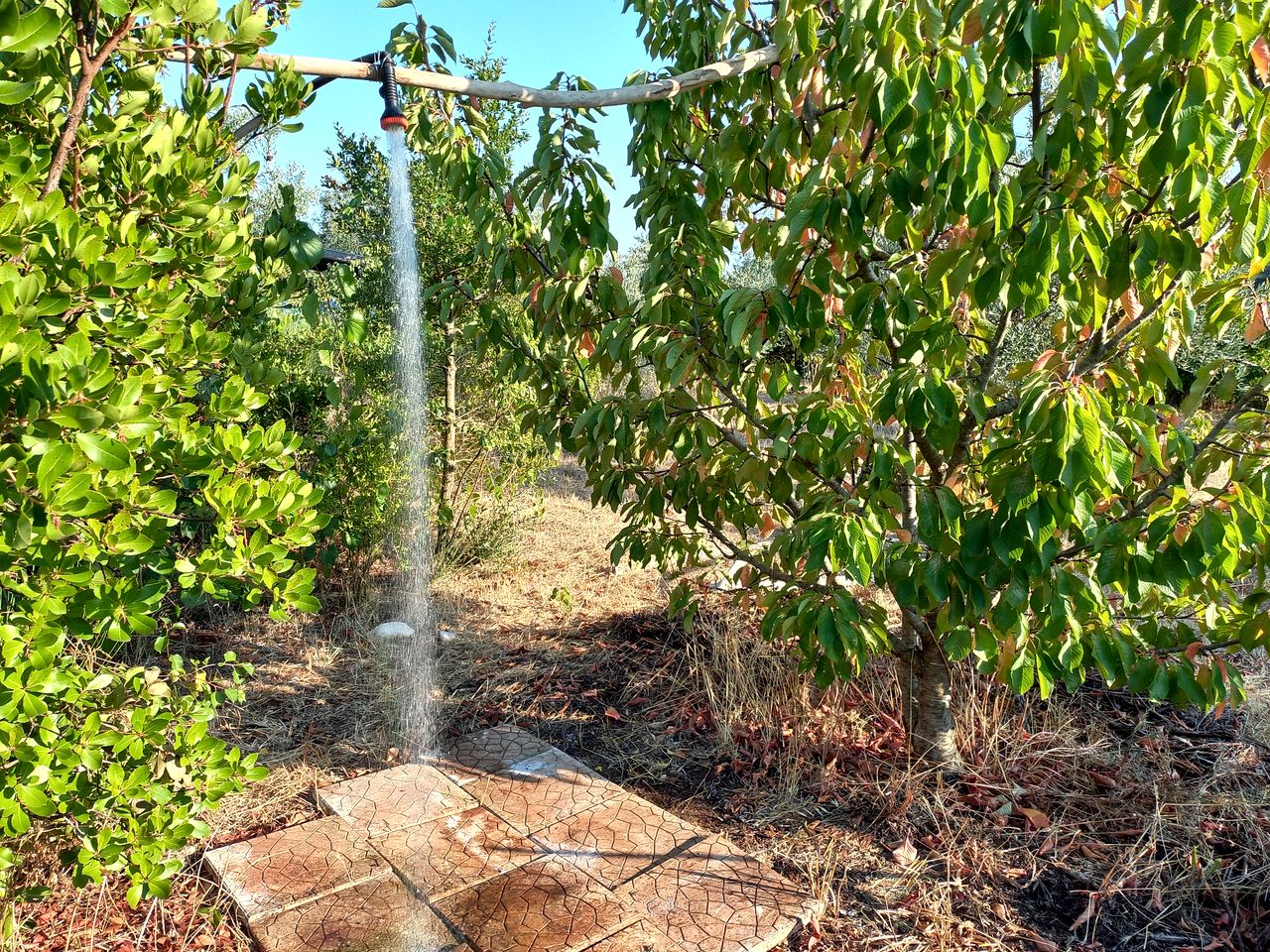 Quaint Tiny House for an Off-Grid Glamping Getaway Surrounded by Nature near Ostuni, Italy