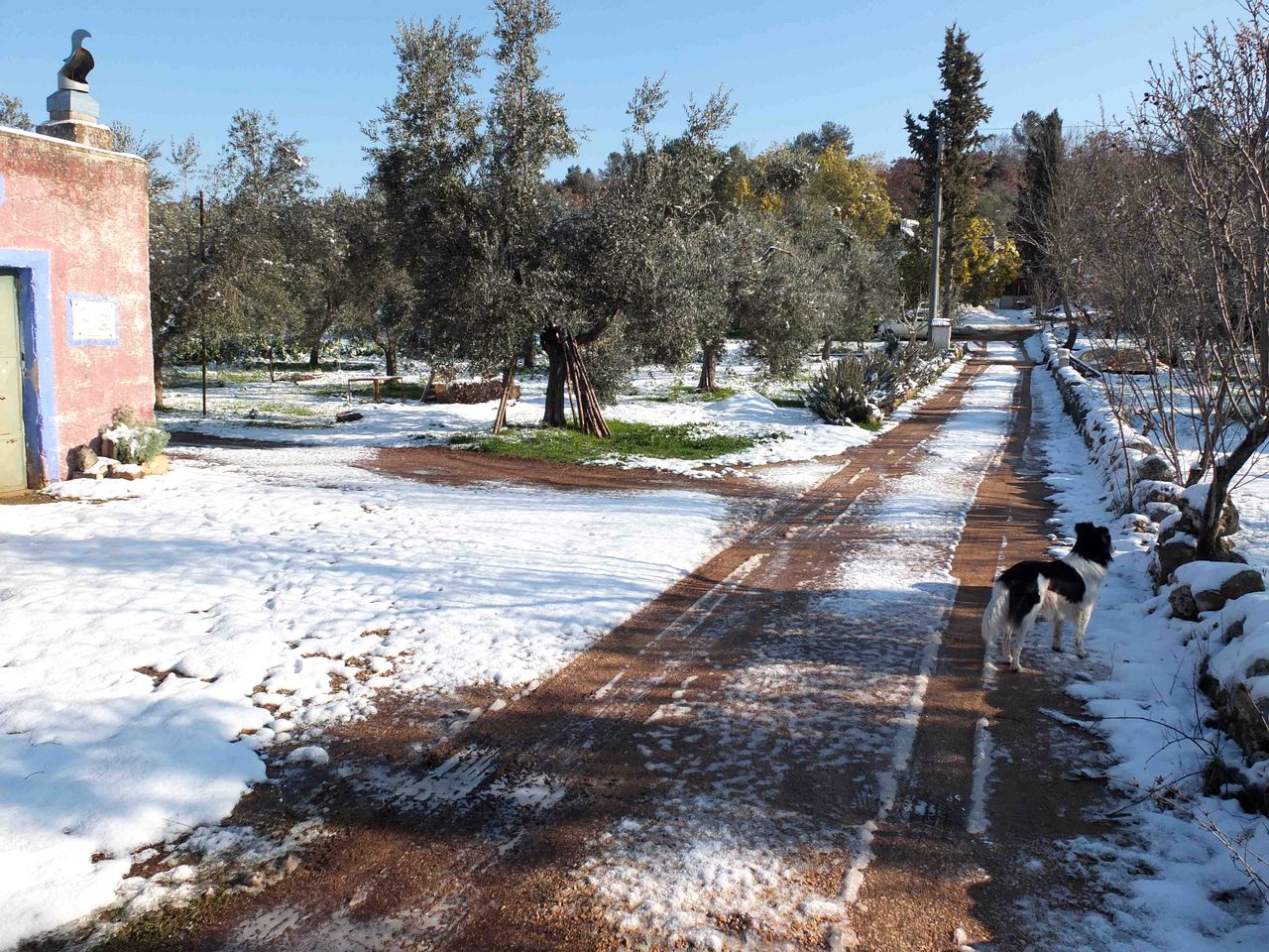 Quaint Tiny House for an Off-Grid Glamping Getaway Surrounded by Nature near Ostuni, Italy