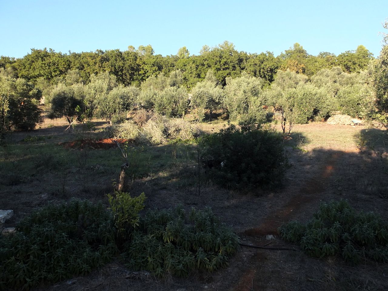 Quaint Tiny House for an Off-Grid Glamping Getaway Surrounded by Nature near Ostuni, Italy