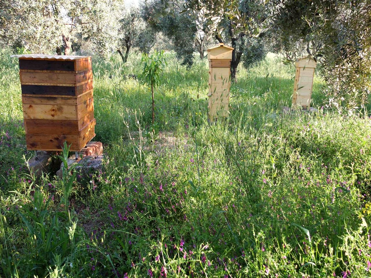 Quaint Tiny House for an Off-Grid Glamping Getaway Surrounded by Nature near Ostuni, Italy