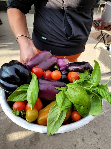 Vacation Rentals (Canada, Gravenhurst, Ontario)