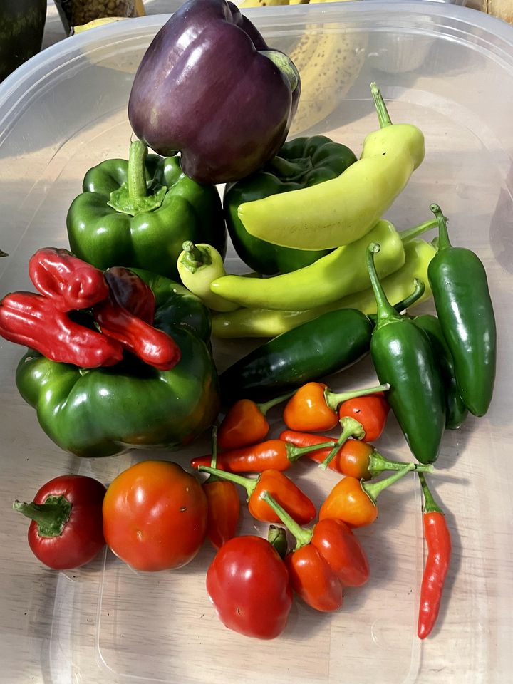 Incredible Multi-Unit Retreat for Large Groups with Amazing Resort-Style Amenities near Gravenhurst, Ontario