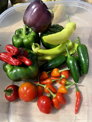 Vacation Rentals (Canada, Gravenhurst, Ontario)