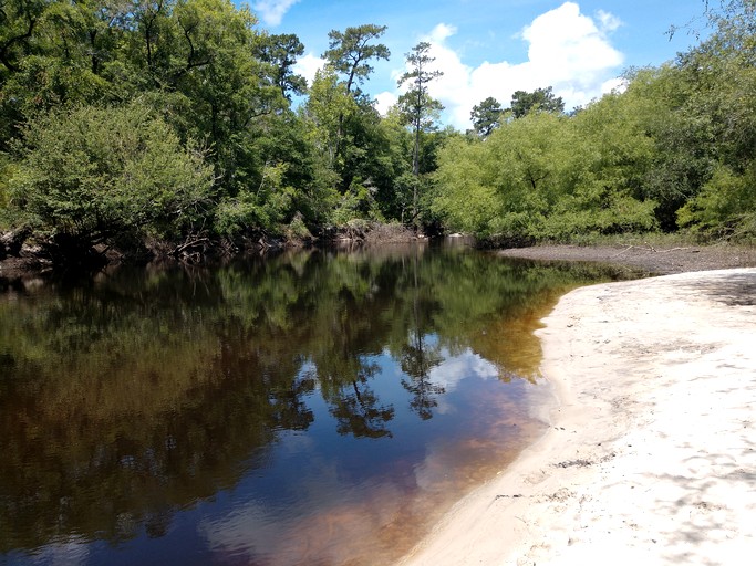 Cabins (United States of America, WAYNESVILLE, Georgia)