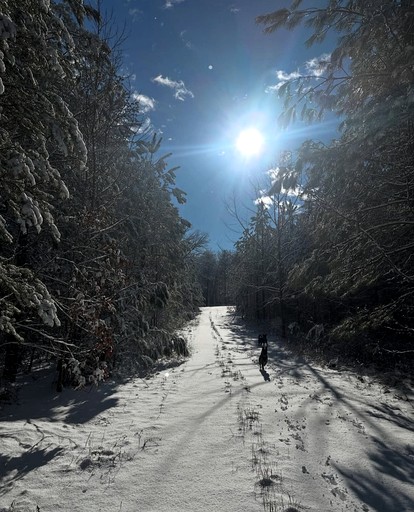 Cabins (United States of America, --, Virginia)