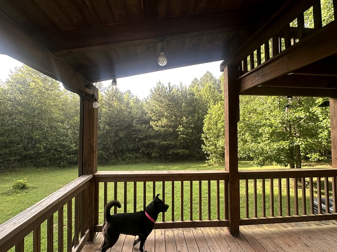 Cabins (United States of America, --, Virginia)