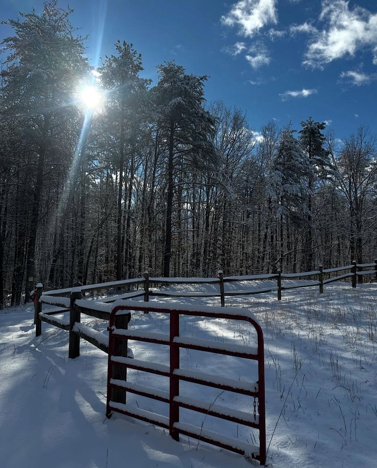 Secluded Woodland Cabin with Kayaks & Fire Pit near Rivers in Virginia