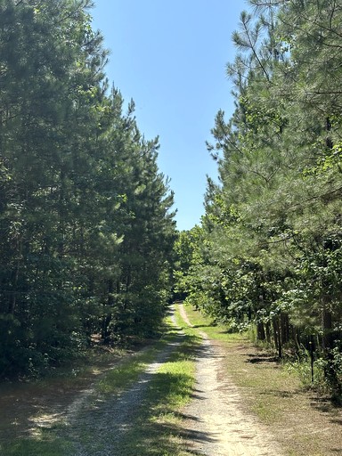 Cabins (United States of America, --, Virginia)