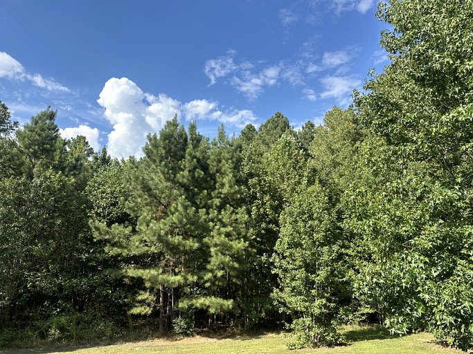 Cabins (United States of America, Keysville, Virginia)