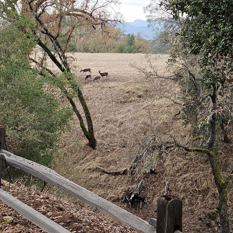 Scenic Lakefront Cabin with Private Hiking Trails near Wineries in Paso Robles, California