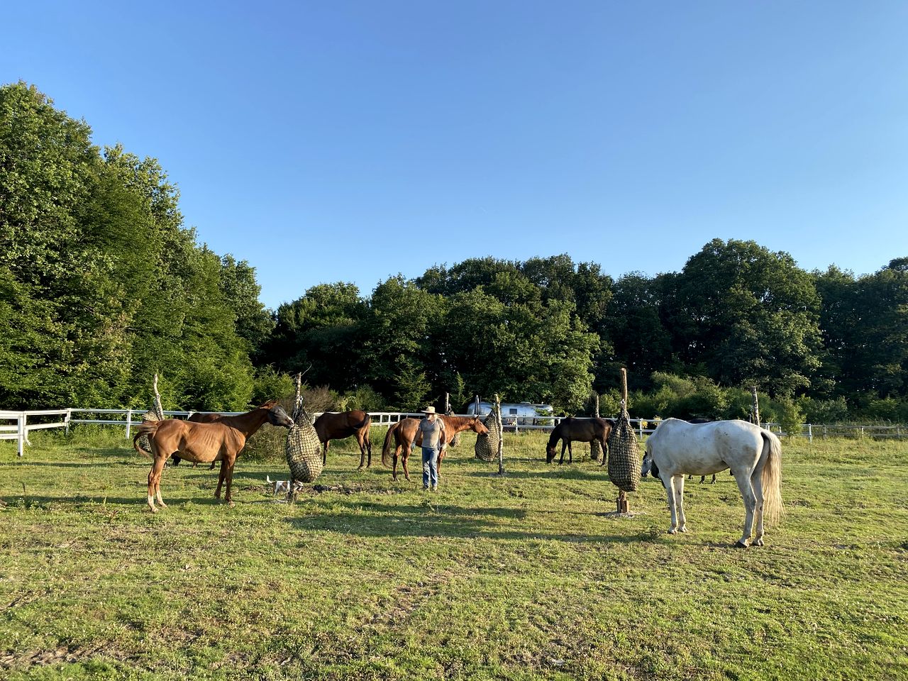 Cozy Renovated Airstream on a Stunning Equine Retreat for a Romantic Escape near Romorantin-Lanthenay, France