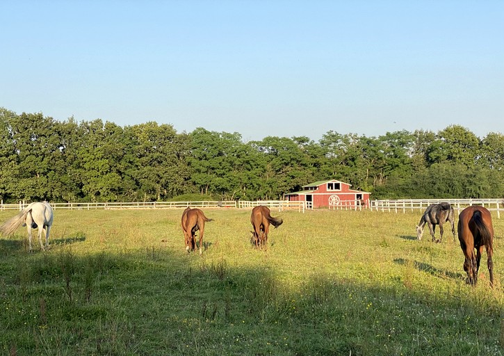 Airstreams (France, --, --)