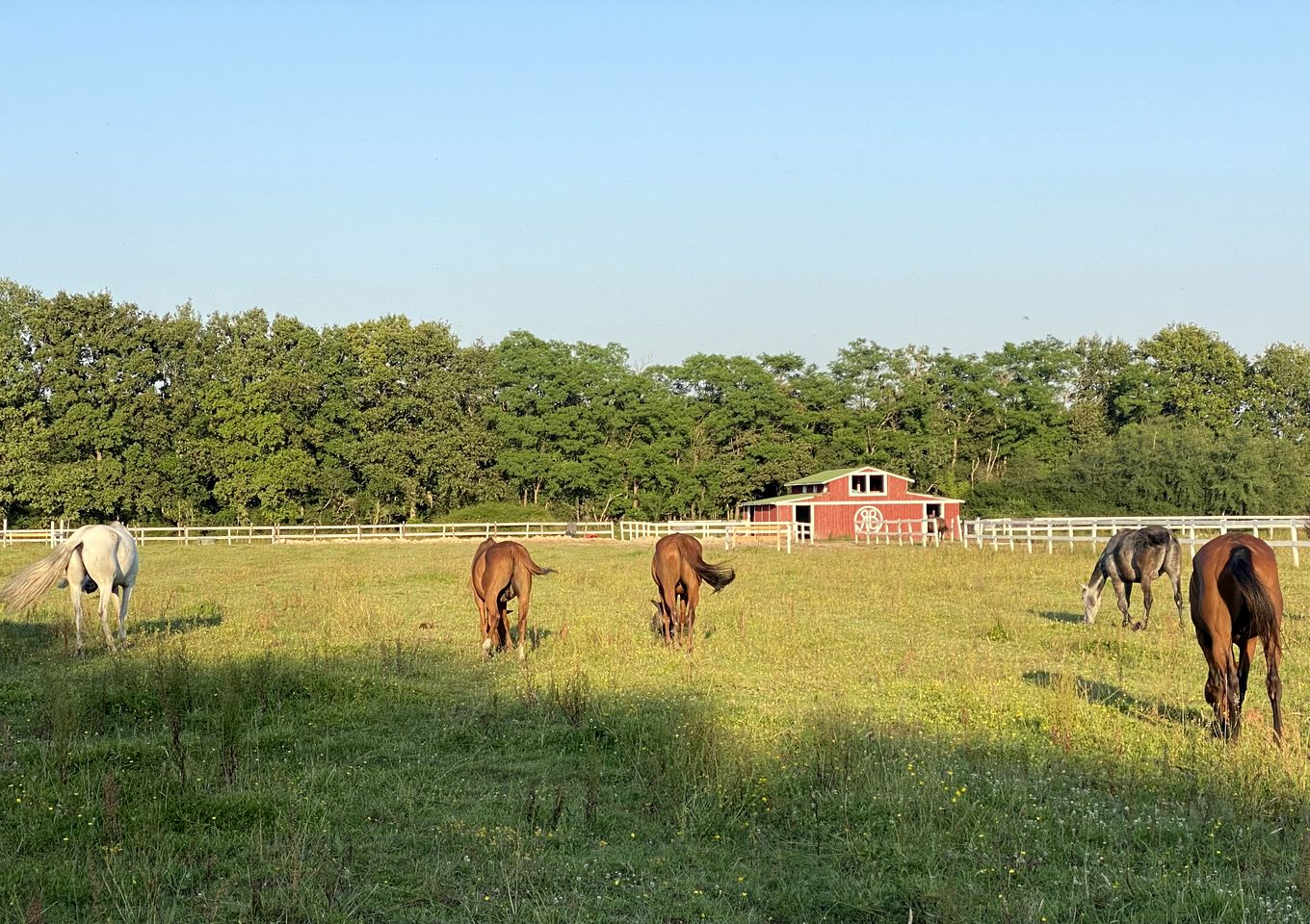 Cozy Renovated Airstream on a Stunning Equine Retreat for a Romantic Escape near Romorantin-Lanthenay, France