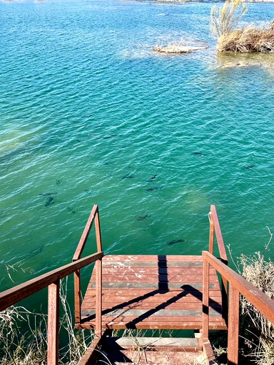 Tiny Houses (United States of America, Llano, Texas)