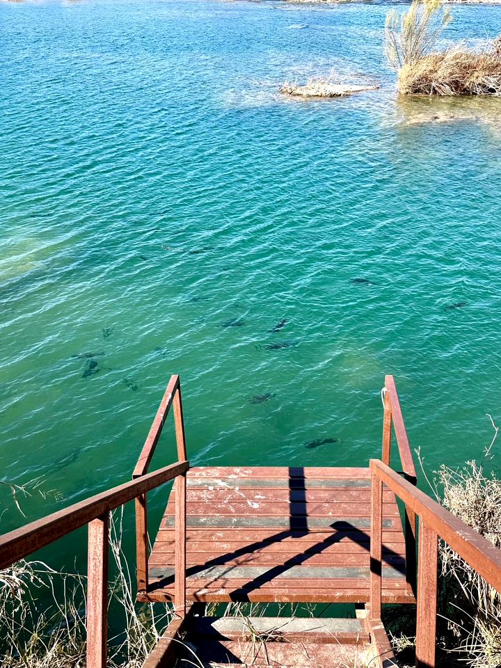 Charming Tiny House Haven near Llano River in Texas