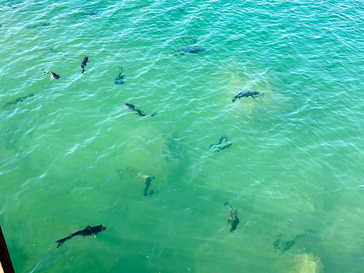 Charming Tiny House Haven near Llano River in Texas