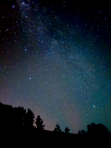 Bell Tents (Australia, Lilydale, Tasmania)