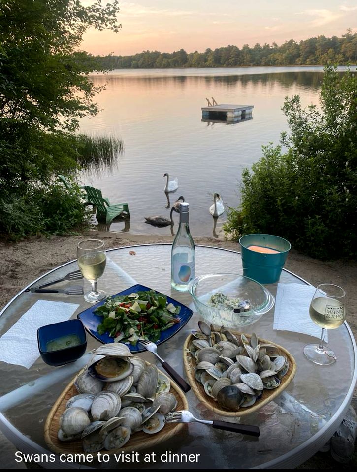 Cozy Lakeside Cottage with Private Beach Cove and Canoe Access near Cape Cod, Massachusetts