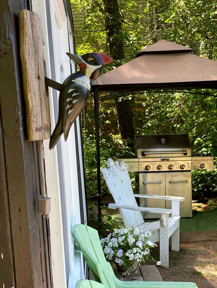 Cozy Lakeside Cottage with Private Beach Cove and Canoe Access near Cape Cod, Massachusetts