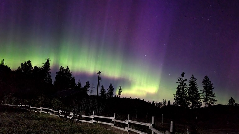 Cabins (United States of America, --, Washington)