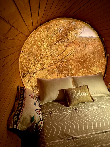 Pods (United States of America, --, Arizona)