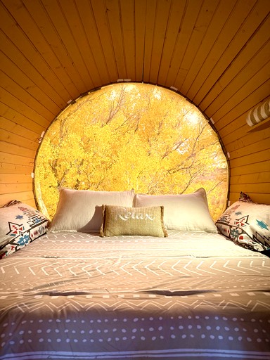 Pods (United States of America, --, Arizona)