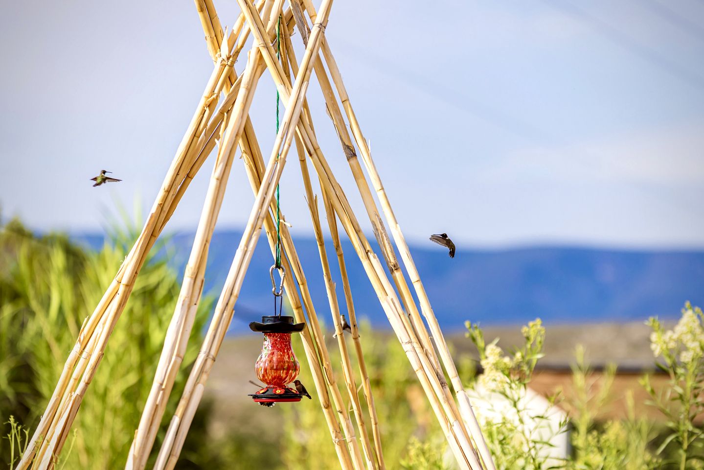 Amazing Unique Barrel Pod with Incredible Views for an Unforgettable Romantic Getaway near Lake Montezuma, Arizona