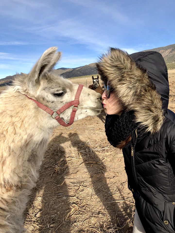Spacious Camper on a Llama Rescue Ranch with Stunning Views near Questa, New Mexico