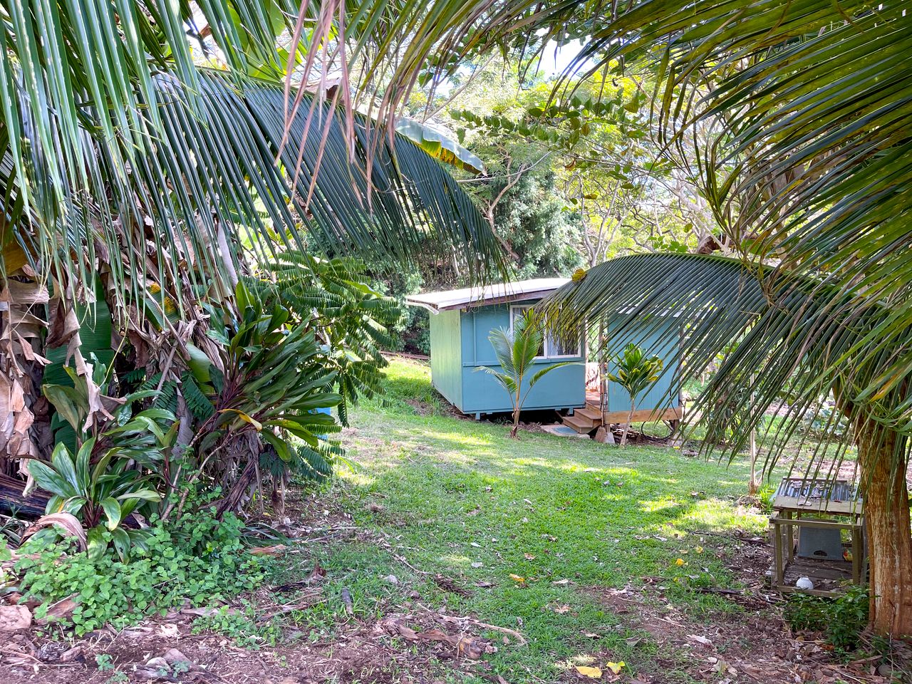Cute Cabin for Two Surrounded by Nature for a Peaceful Getaway in Kealakekua, Hawaii
