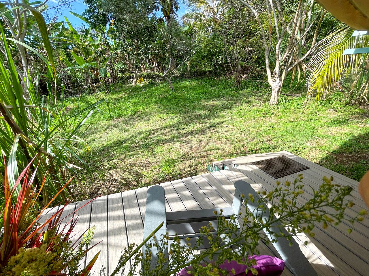 Gorgeous Safari Tent Nestled Between Bamboo Groves and Monkeypod Trees for a Glamping Getaway in Kealakekua, Hawaii