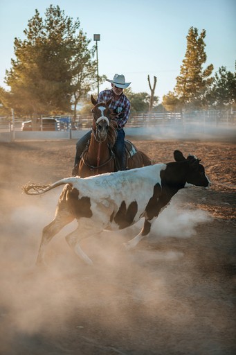 Airstreams (United States of America, Sandy Valley, Nevada)