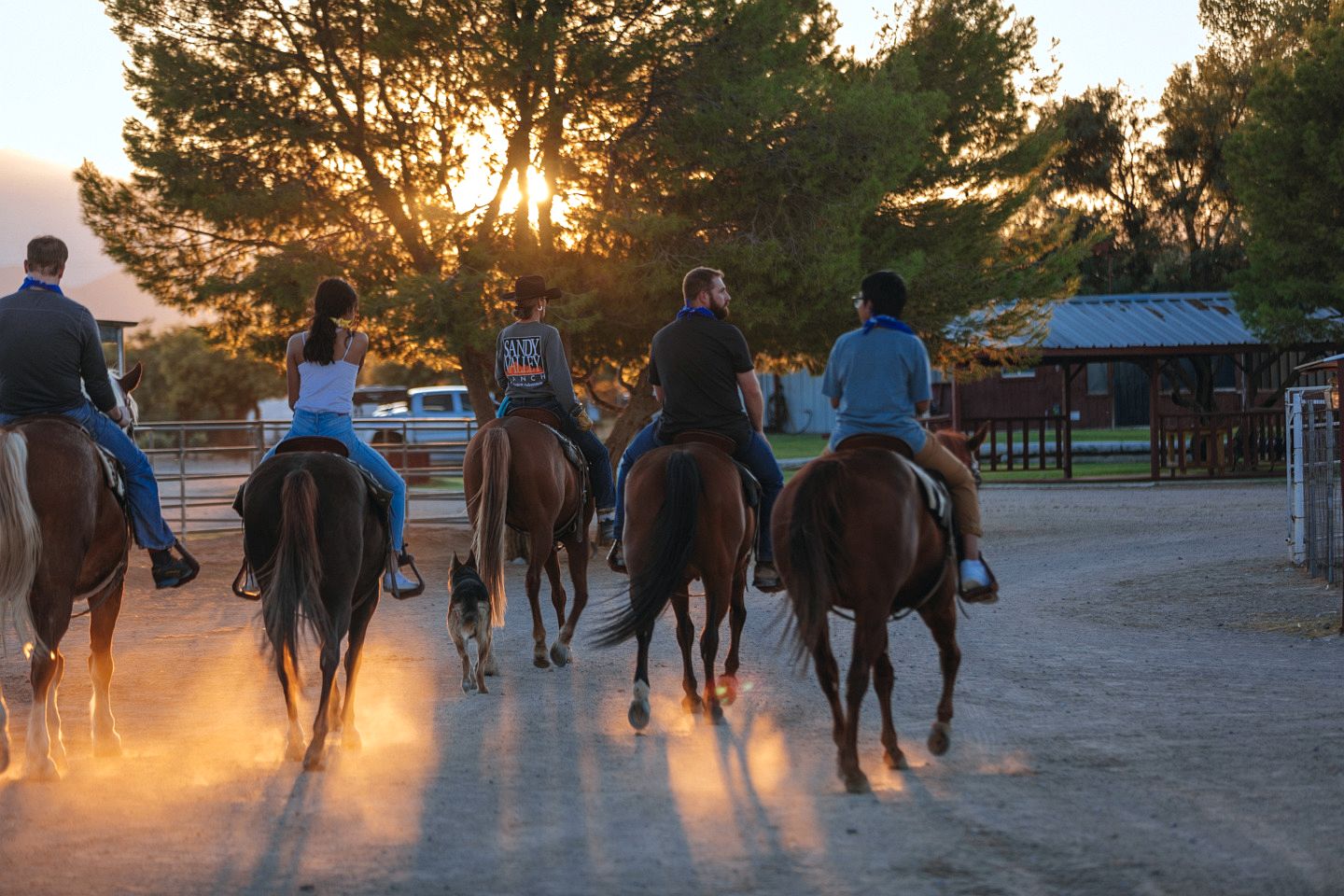 Beautiful Vintage Airstream on a Working Ranch for a Unique Getaway in Sandy Valley, Nevada