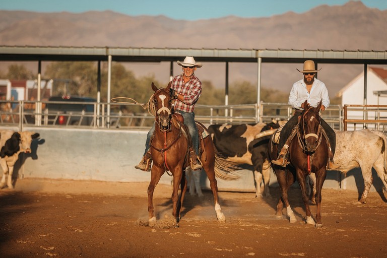 Airstreams (United States of America, Sandy Valley, Nevada)