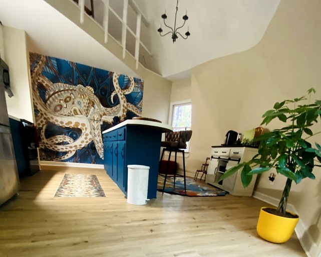 Domes (United States of America, Chapel Hill, North Carolina)