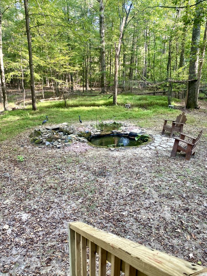 Unique Spacious Dome Nestled in the Forest for a Peaceful Glamping Retreat near Chapel Hill, North Carolina