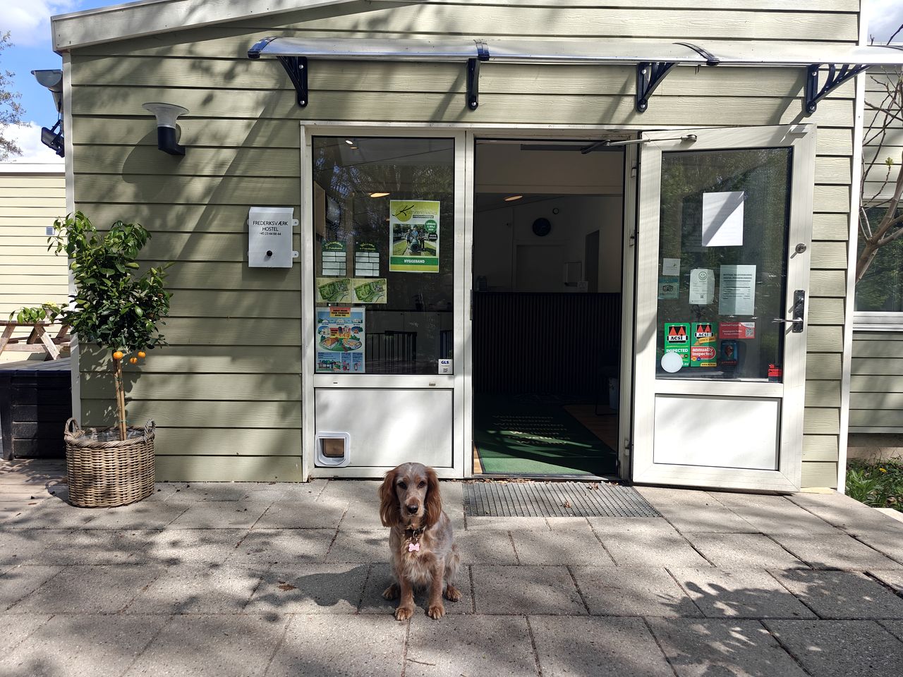 Cozy Cabin near Frederiksvaerk for an Amazing Getaway in Denmark
